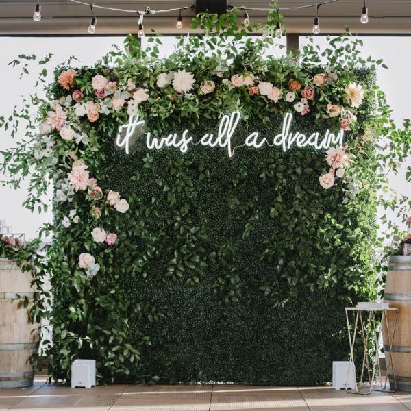 Green Plant Backdrop Wall